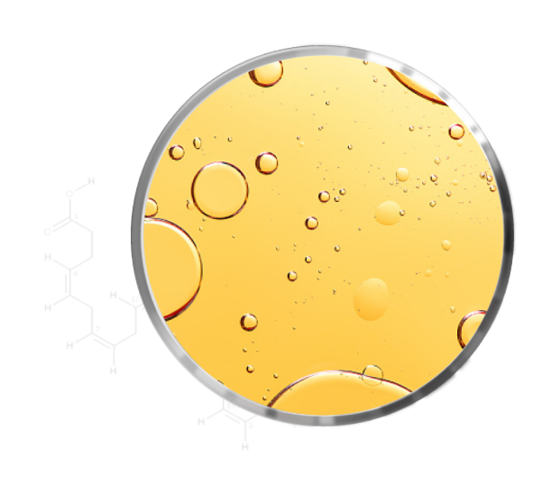 Omega 3 DHA