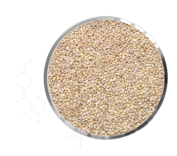 Psyllium Husk