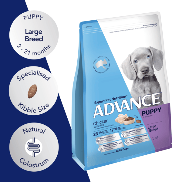 Advance large breed puppy hot sale