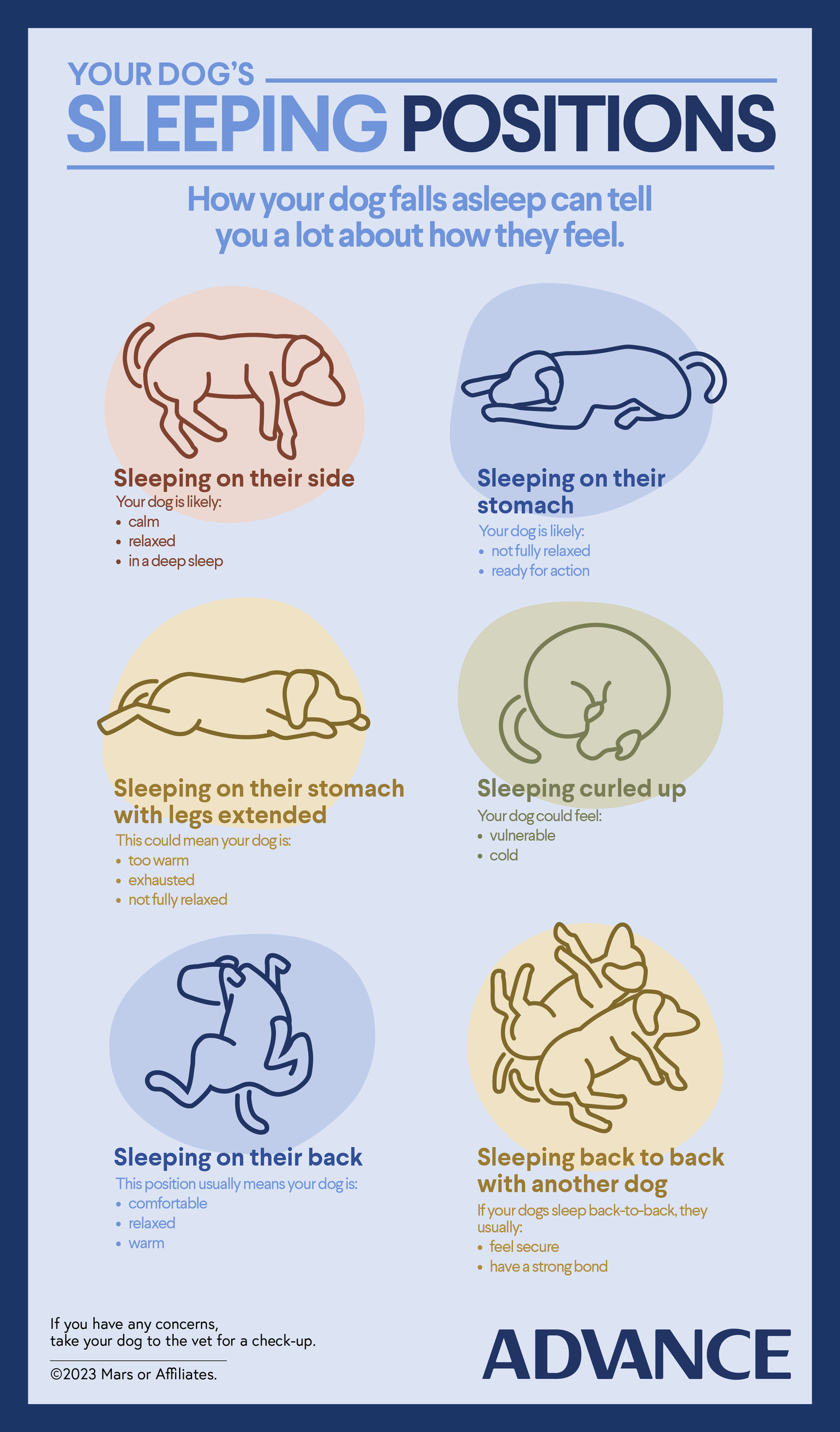 Advance M6 - Your dog sleeping position