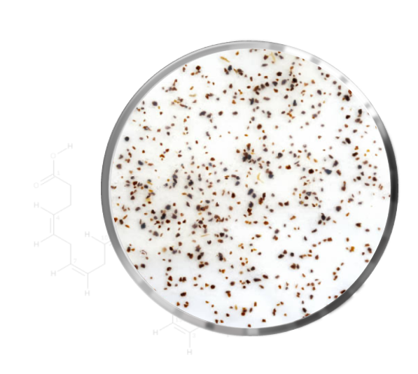Antioxidant Vitamin A