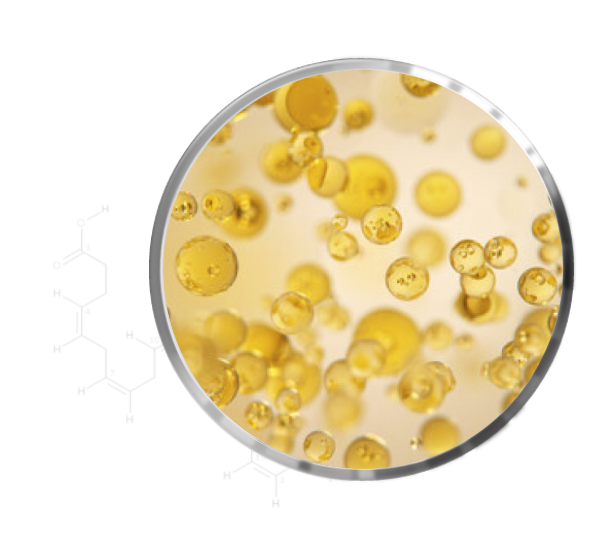 Omega 6